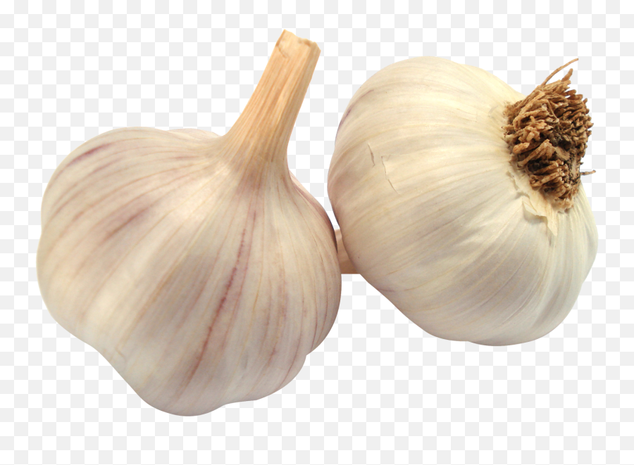Garlic Png - Garlic Png Emoji,Garlic Png