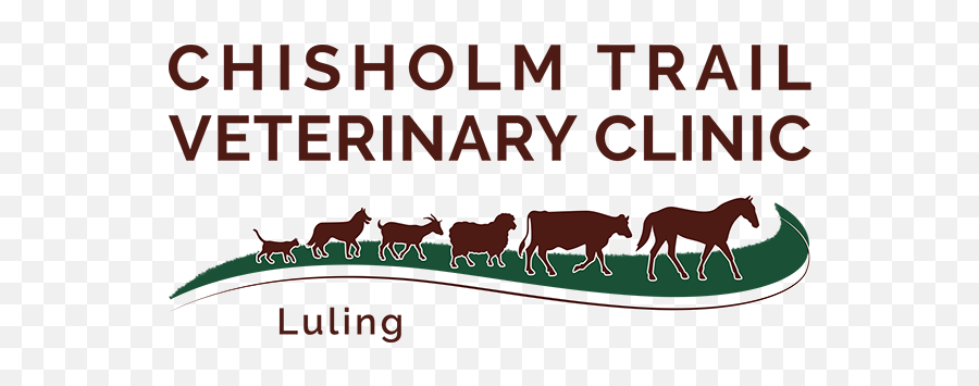 Chisholm Trail Veterinary Clinic - Language Emoji,Texas Logo