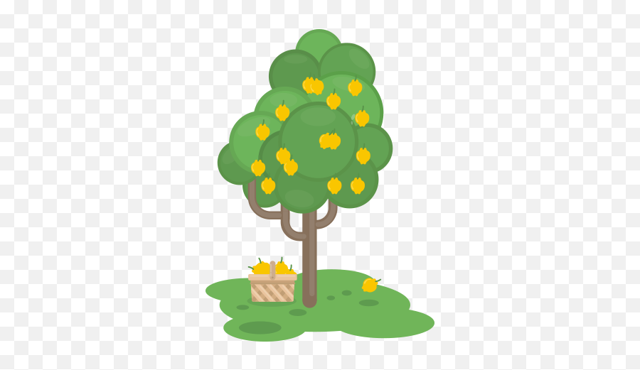 Quince Vora Fruit - Quince Tree Clipart Emoji,Quinceanera Clipart