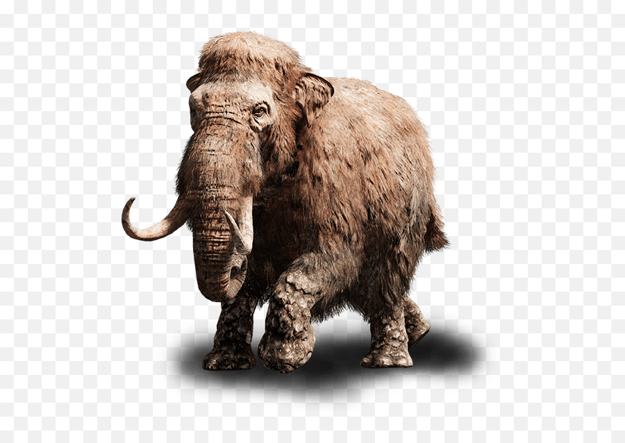 Far Cry Primal Baby Mammoth Png - Far Cry Primal Mammoth Png Emoji,Mammoth Png