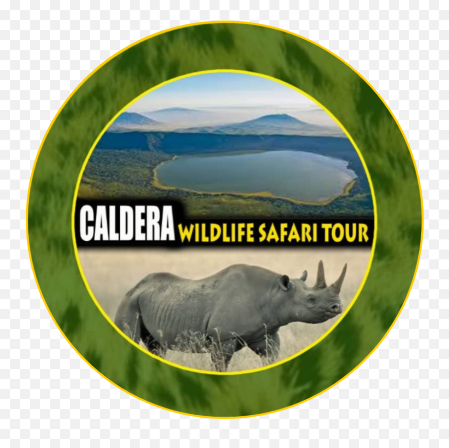 About Us U2013 Caldera Wildlife Safari U0026 Tours Emoji,Cute Safari Logo