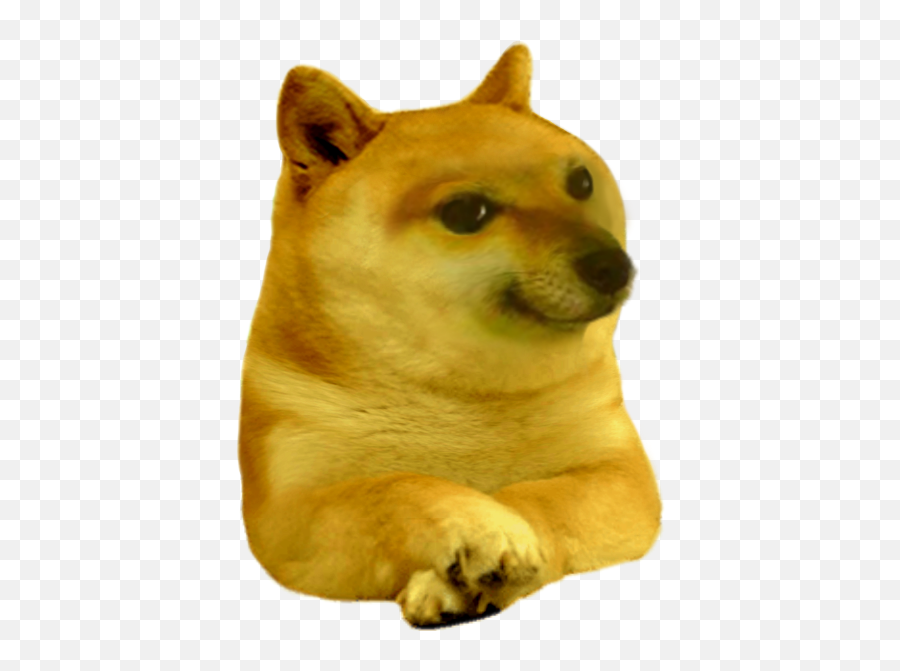 Doge Meme Cheems Dog Png - Cheems Doge Png Emoji,Doge Transparent