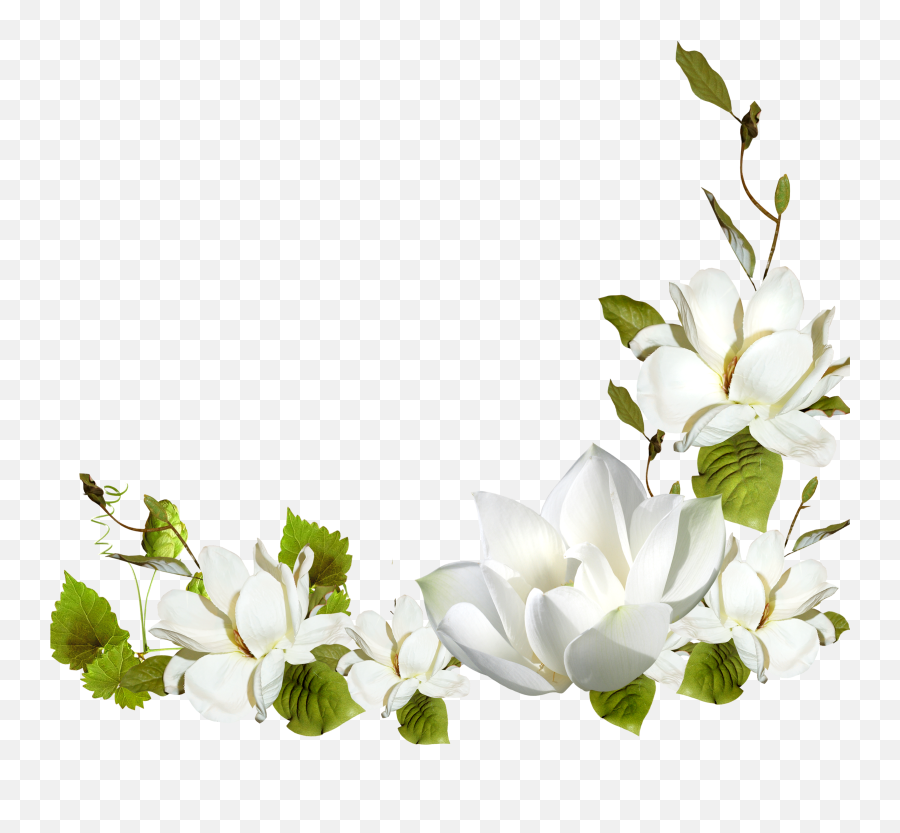 White Corner Flowers - Transparent White Flower Frame Png Emoji,White Flower Png