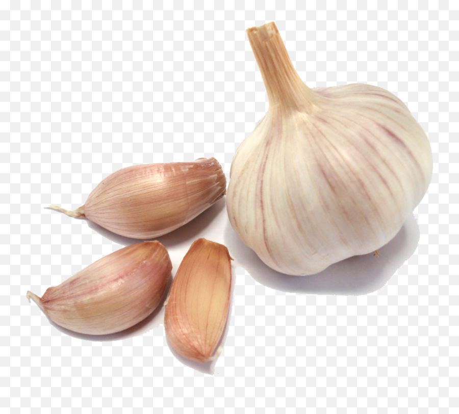 Garlic Png Transparent Images - Garlic Png Emoji,Garlic Png