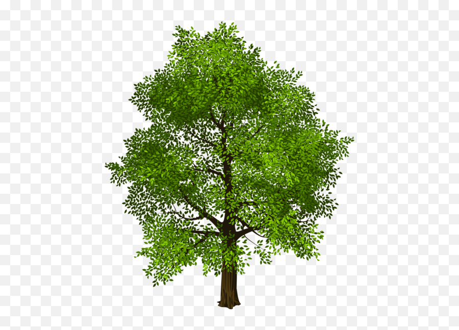 Tree Png - Tree Png Light Green Emoji,Tree Png
