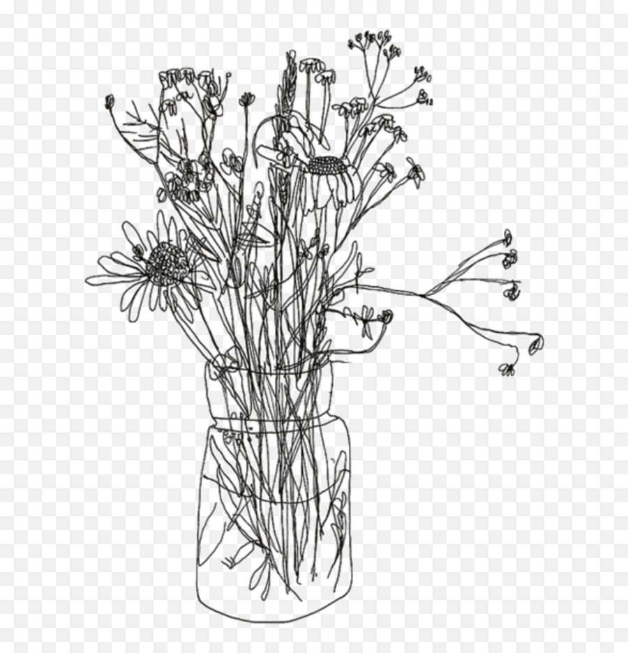 Flower Drawing Transparent Background - Sketch Flower Drawing Png Emoji,Flower Drawing Png