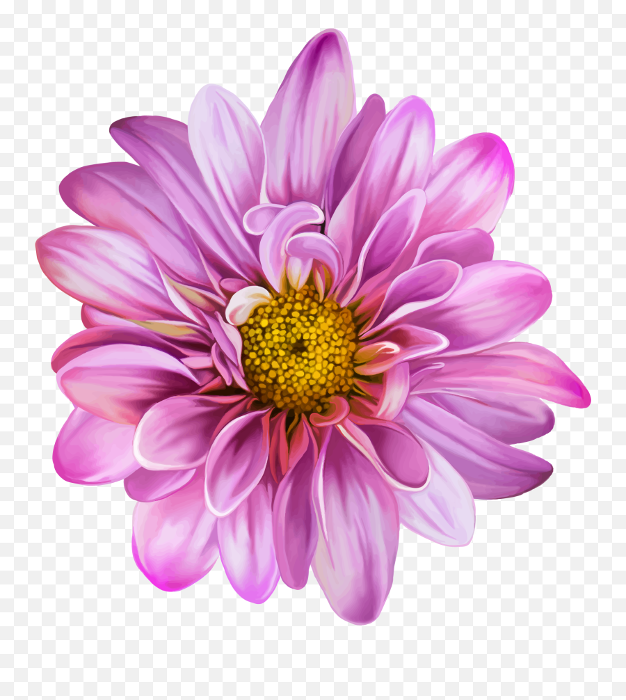 Download Vector Flowers Art Flowers Spring Flowers Flower Emoji,Flowers Vector Png