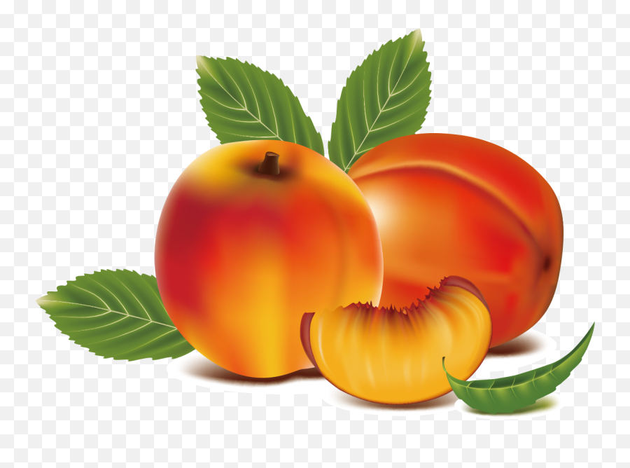 Peach Fruit Clipart Transparent Png - Peaches Clipart Png Emoji,Peach Clipart