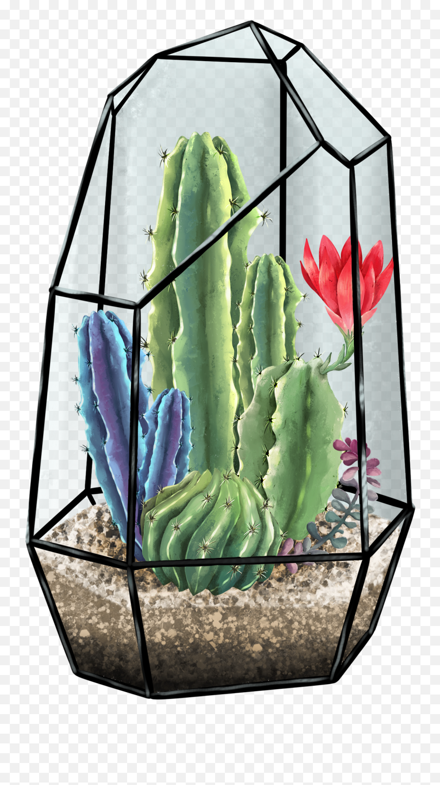 Succulent Terrarium Illustration Succulent Design Cactus - Flowerpot Emoji,Cactus Clipart