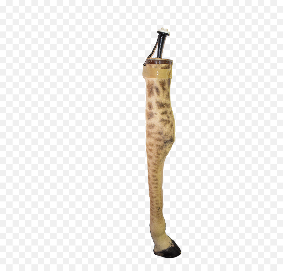 Giraffe Leg Lamp Gll12 - Animal Print Emoji,Leg Png