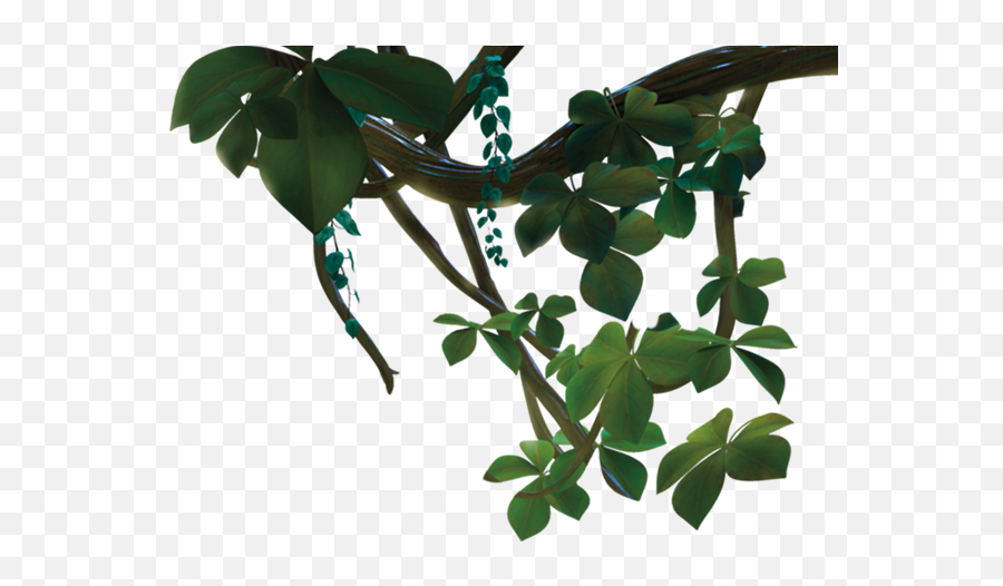 Jungle Vines Png Image Download - Leaf Full Size Png Portable Network Graphics Emoji,Vines Png