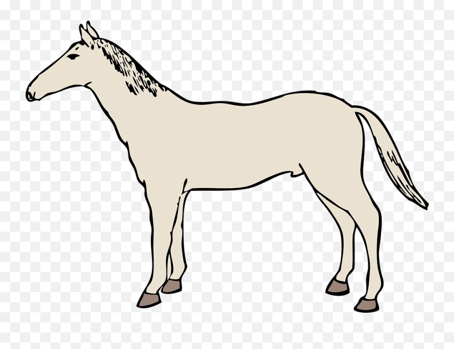 Horse Mustang Stallion Emoji,Mustang Horse Png
