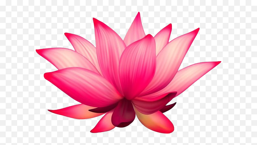 Lotus Png Transparent Images Png All Emoji,Pink Flower Transparent Background