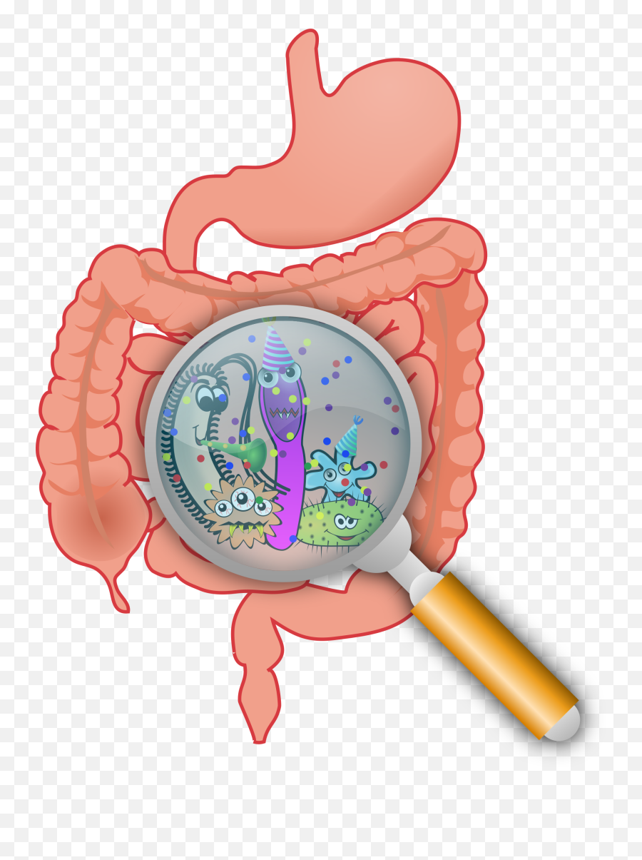 Worm Clipart Intestinal Worm - Our Gut Emoji,Worm Clipart