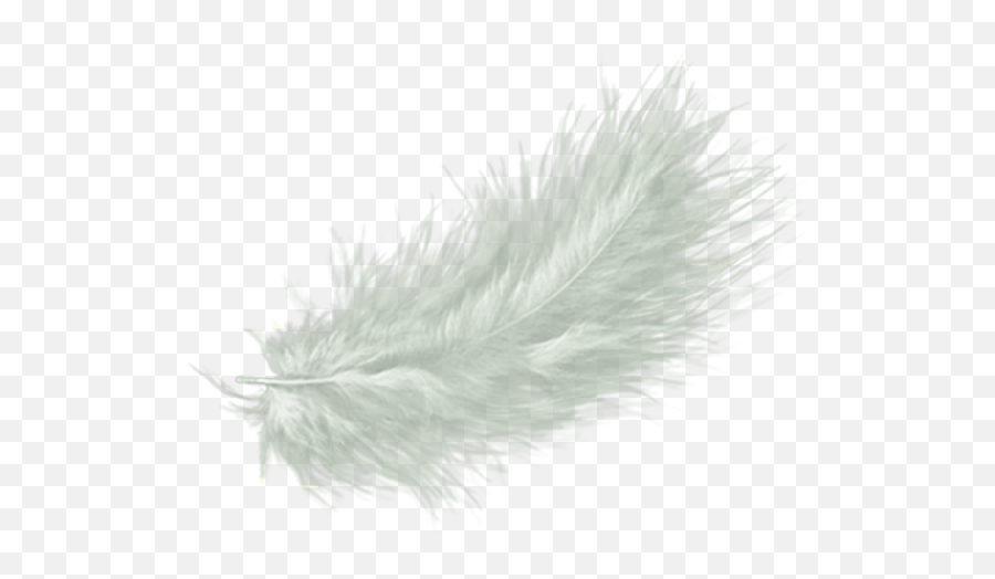 White Feather Drawing Clip Art - White Angel Feather Png Emoji,Black Feather Png