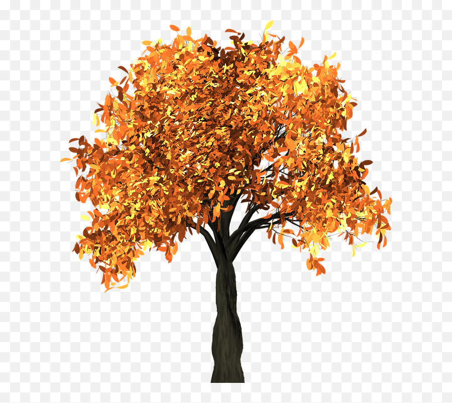 Apricot Tree And The Seasons - Chestnut Tree Autumn Clipart Baum Herbst Comic Emoji,Seasons Clipart
