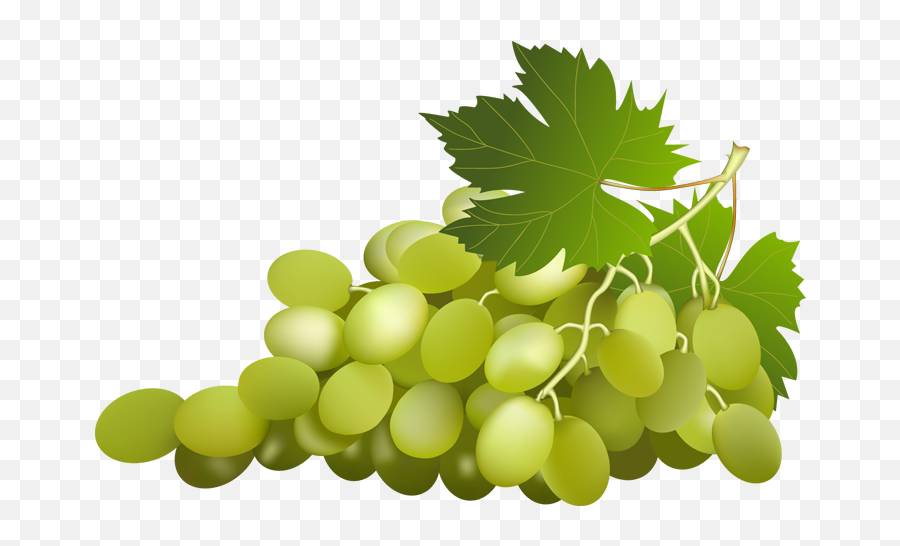 Grapes Vine Clipart Grape With Vine Leaf Clip Art Id Image - Green Grapes Clipart Png Emoji,Vine Clipart