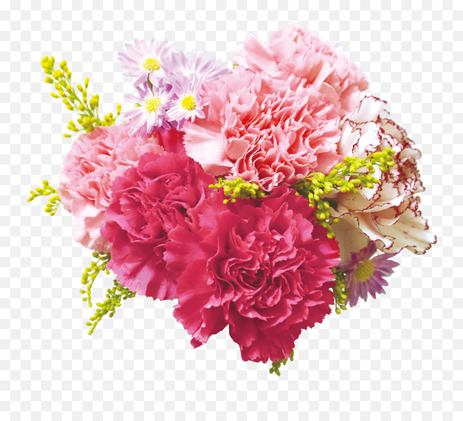 Carnation Flowers Png Transparent - Transparent Transparent Background Floral Design Flower Png Emoji,Flowers Transparent Background