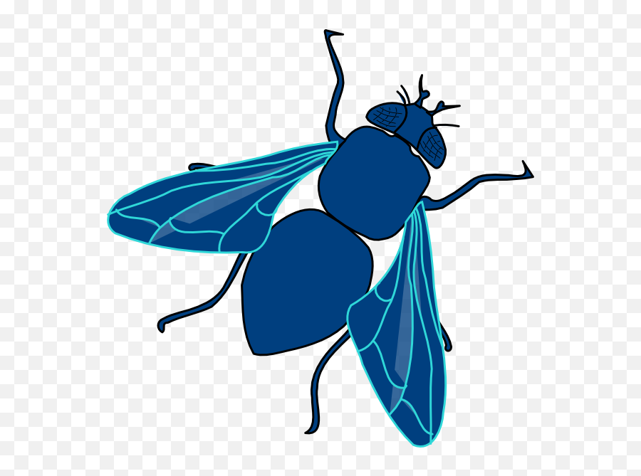 Free Fly Cliparts Download Free Clip - Blue Bottle Fly Clip Art Emoji,Fly Clipart