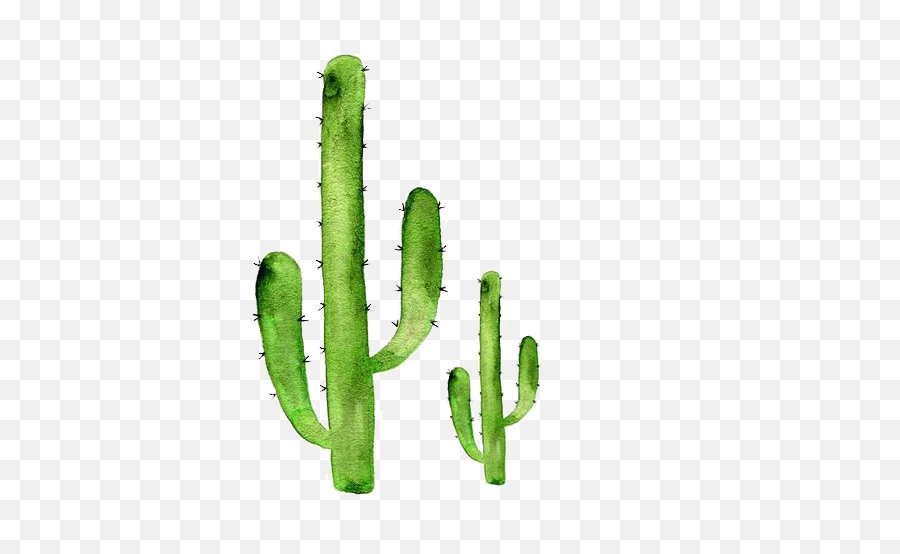 Sticker Art Cactaceae Succulent Plant Redbubble - Cactus Png Transparent Background Desert Cactus Png Emoji,Cactus Clipart