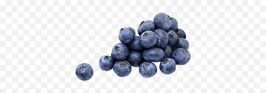 Blueberries Transparent Png Images - Stickpng Blueberries No Background Emoji,Blueberry Clipart