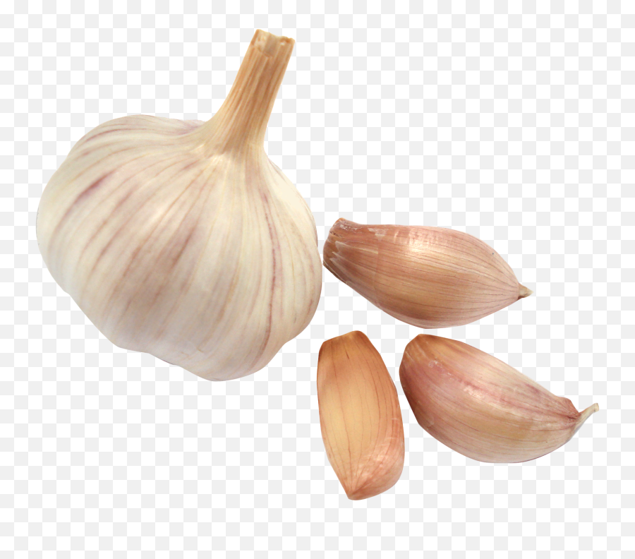 Garlic Png - Garlic Emoji,Garlic Png