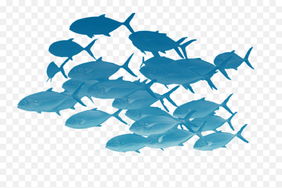 Fishes Png - Schools Of Fish Transparent Emoji,School Of Fish Png