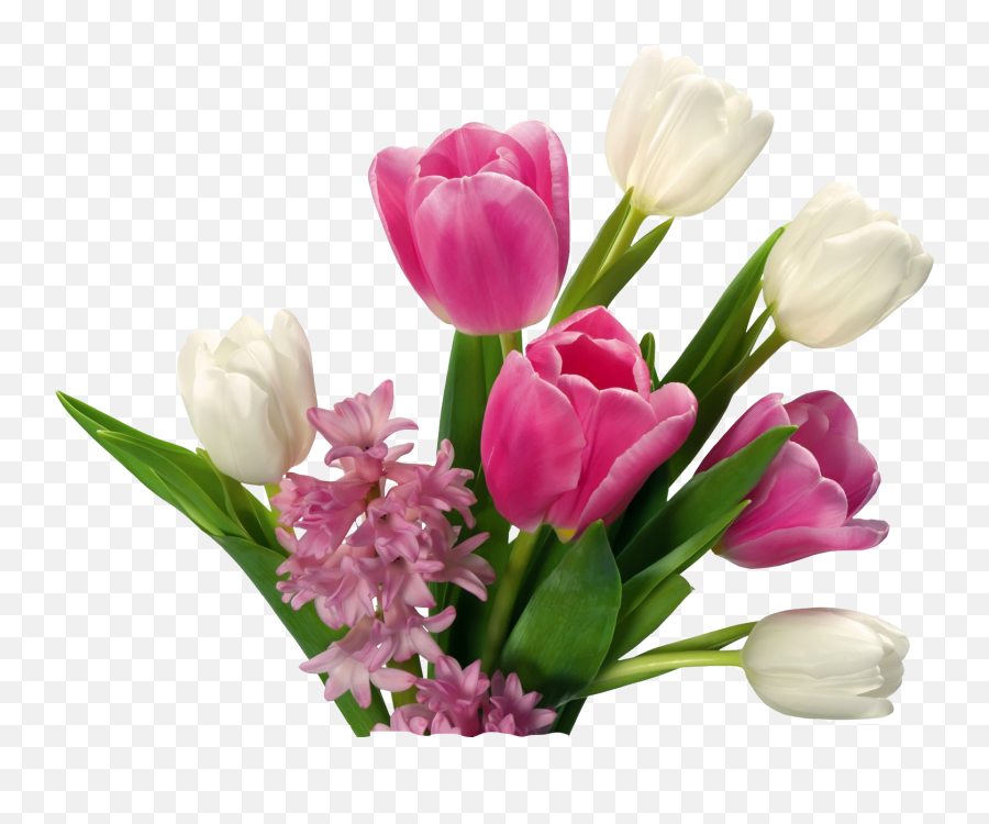 Flowers Png Transparent Png - Tulip Flowers Png Emoji,Flowers Transparent Background