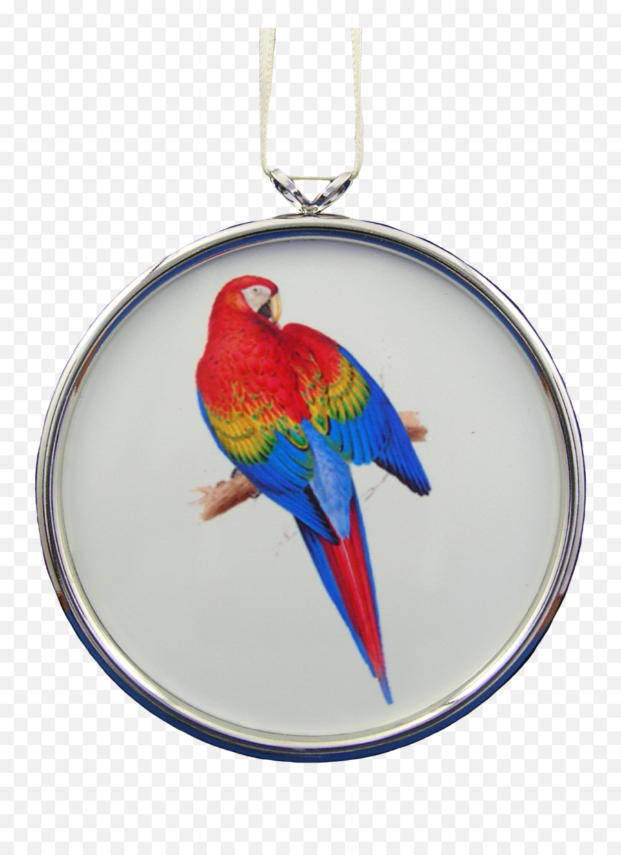 Scarlet Macaw Ornament In Silver Frame - Parrots Emoji,Silver Frame Png