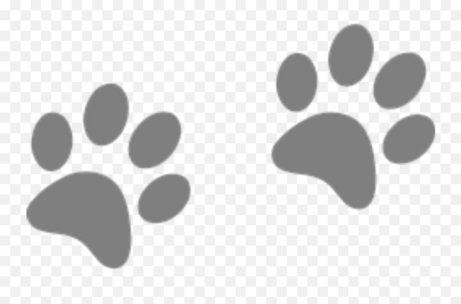Cat Dog Paw Clip Art Tiger - Foot Prints Png Transparent Png Emoji,Tiger Paw Print Clipart