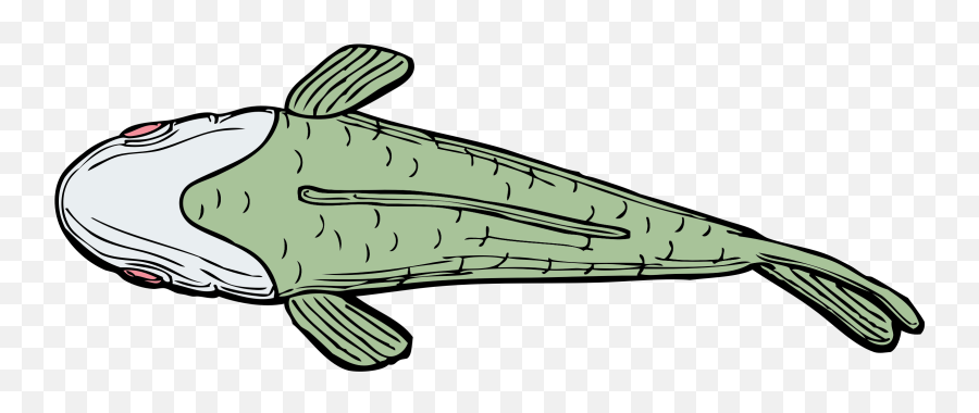Cartoon Catfish Pictures 8 Buy Clip - Fish From The Top Drawing Emoji,Catfish Clipart