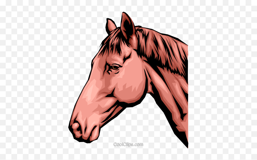 Horse Head Royalty Free Vector Clip Art Illustration - Cabeça De Cavalo Png Emoji,Horse Head Clipart