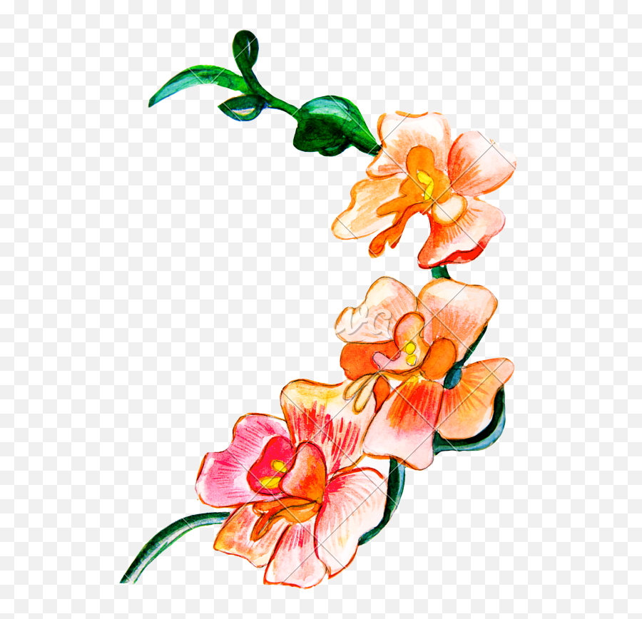 Flowers Painted With Watercolors - Happy New Year 2019 Full Moth Orchids Emoji,Happy New Year 2019 Png