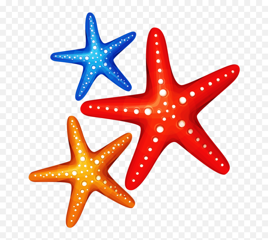 Starfish Clip Art - Starfish Png Download 800796 Free Transparent Background Starfish Clipart Emoji,Starfish Clipart