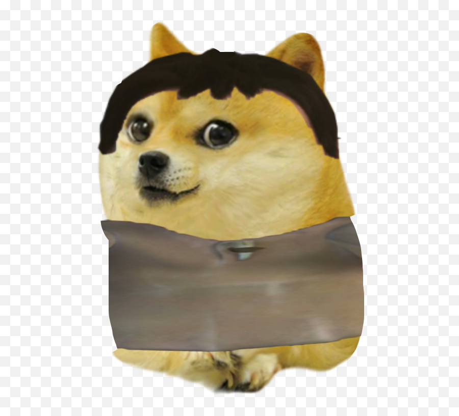 Ice Age Baby Doge - Album On Imgur Baby Doge Transparent Doge Png Emoji,Doge Transparent Background
