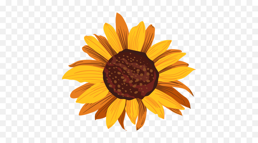Sunflower Head Drawing - Transparent Png U0026 Svg Vector File Sunflower Head Drawing Emoji,Transparent Sunflowers