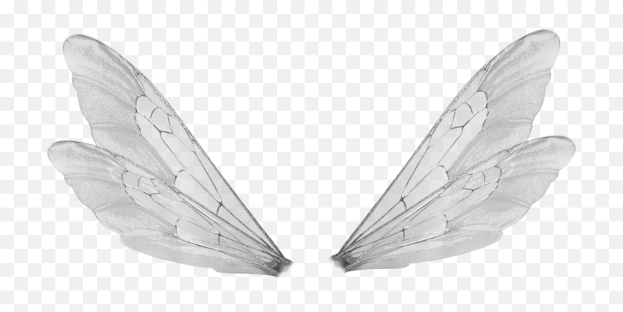 Download Wings Transparent Bee - Male Fairy Wings Png Png Fairy Wings Png White Emoji,Wings Png