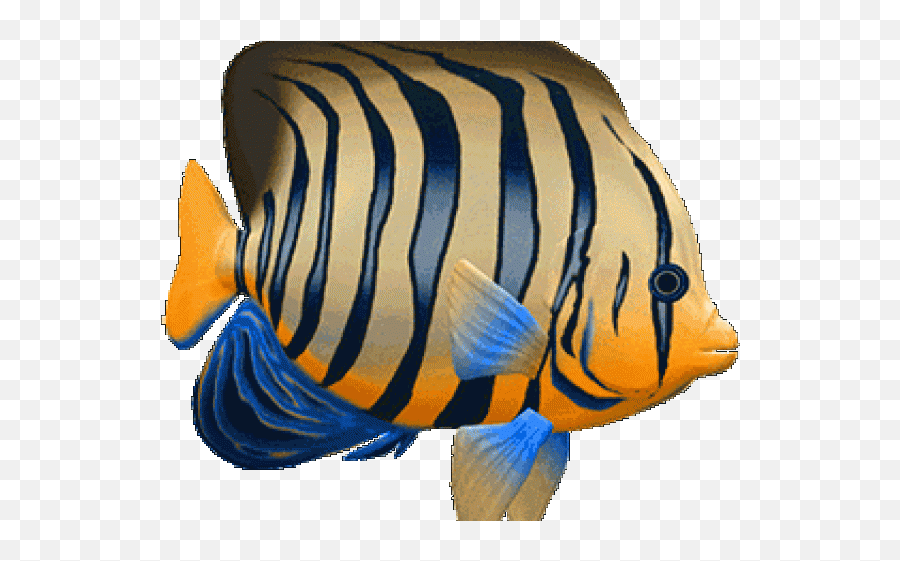 Tropical Fish Clipart 3d Fish - Peces Gif Animados Png Emoji,Fish Emoji Png