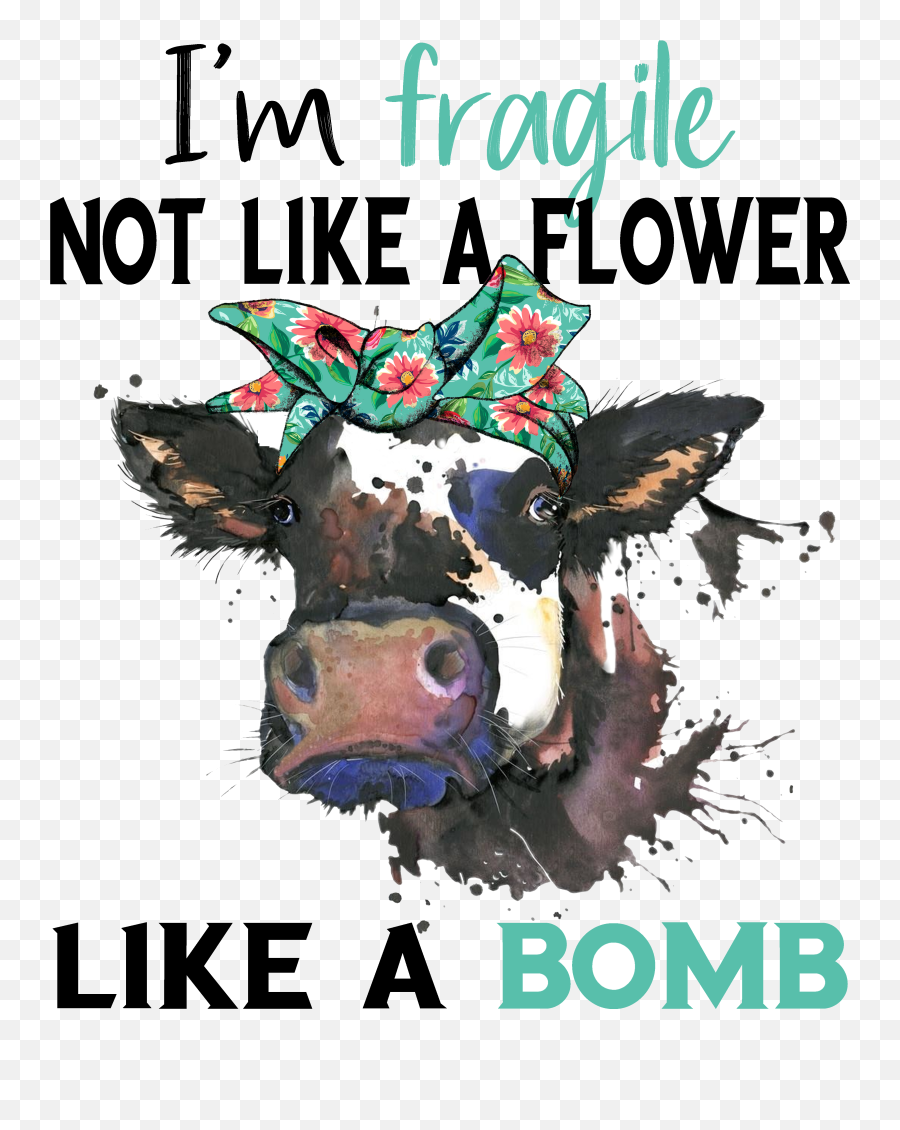 Fragile Not Like A Flower Like A Bomb Cows Funny Cow Emoji,Atomic Bomb Png