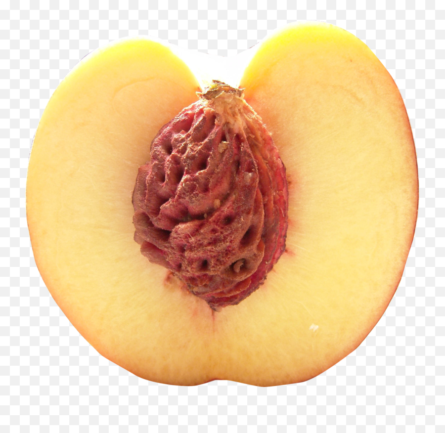 Half Peach Png Image - Half Peach Transparent Emoji,Peach Png