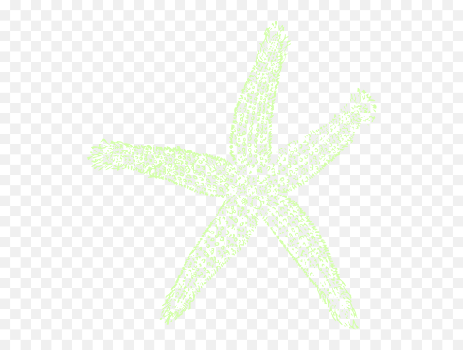 Download Hd Single Starfish Clipart Png For Web - Private Emoji,Starfish Clipart Png
