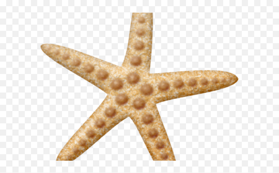 Starfish Clipart Png - Starfish Clipart Pinterest Deniz Deniz Yldz Vektörel Emoji,Starfish Clipart