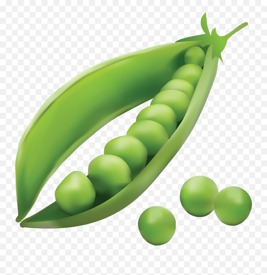 Pptít Fruit And Veg Fruits And Vegetables Food - Pea Clipart Png Emoji,Fruits And Vegetables Clipart