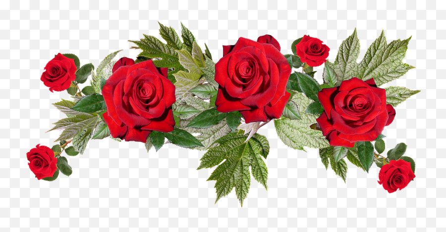 Red Flowers Png Image With Transparent - Transparent Red Floral Png Emoji,Flowers Png