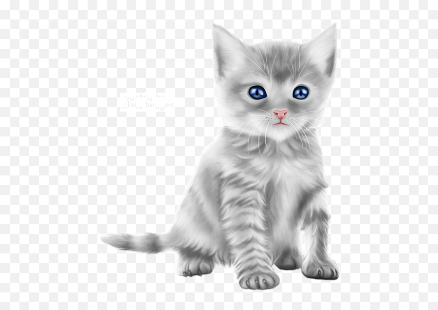 Tube Chat Chaton Dessin Png Transparent - Cat Clipart Emoji,Chat Clipart