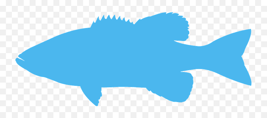 Bass Fish Silhouette - Free Vector Silhouettes Creazilla Aquarium Fish Emoji,Bass Fish Clipart