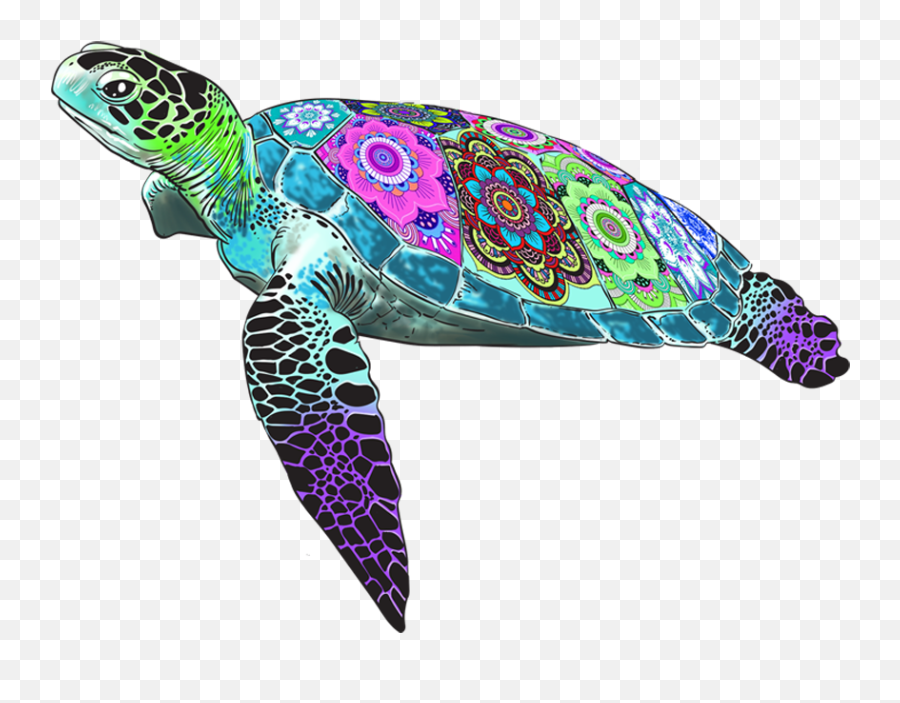 Retoherculescom Sea Turtle Art Turtle Images Turtle Art - Turtles Emoji,Sea Turtle Clipart