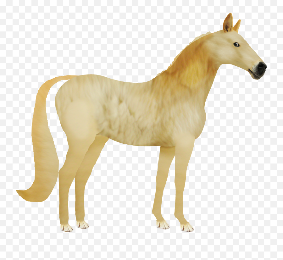 Dogelore Emoji,Mustang Horse Png