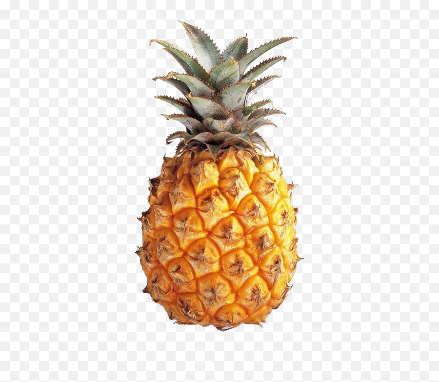 Download Pineapple Tumblr Theme Emoji,Pineapple Png Tumblr