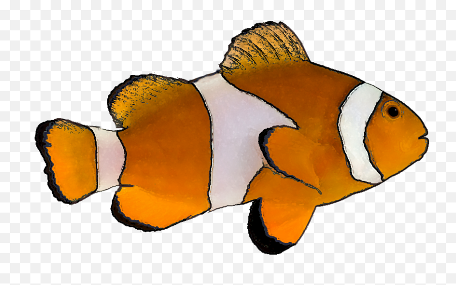 Clownfish Clip Art Vector Free Download - Wikiclipart Emoji,Fish Outline Clipart